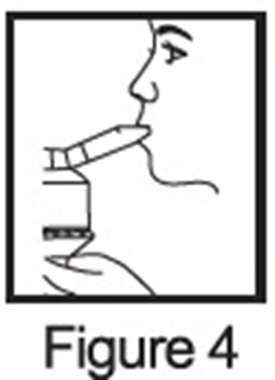 Figure 4 (Figure 4)